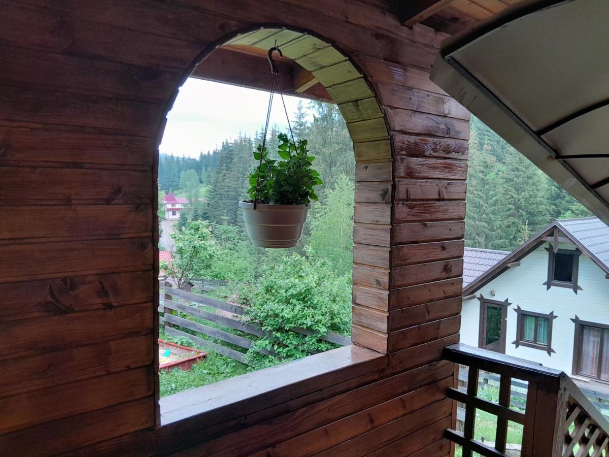 Котеджі "У Яни" Yablunytsya Exterior photo