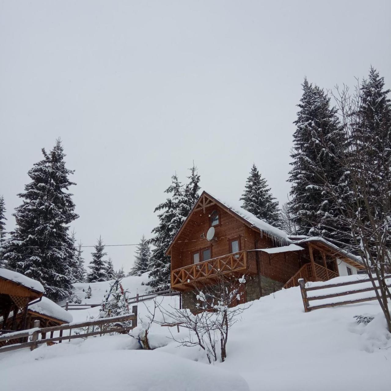 Котеджі "У Яни" Yablunytsya Exterior photo